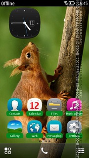 Скриншот темы Little Animal Squirrel