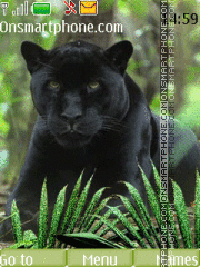 Capture d'écran Black Panther thème