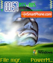 Скриншот темы Windows