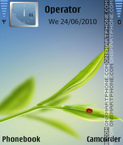 Ladybug by amjad theme screenshot