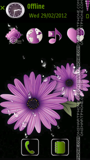 Daisy flower theme screenshot