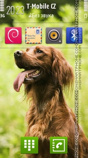 Dog 13 tema screenshot