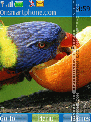 Capture d'écran Parrot likes orange thème