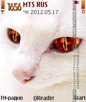 Cat-Eyes es el tema de pantalla