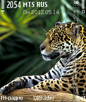 Jaguar Theme-Screenshot
