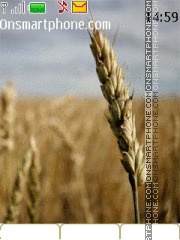 Wheat Tree theme screenshot