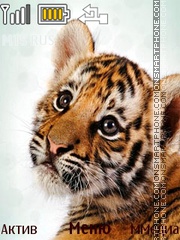Скриншот темы Tiger Cub