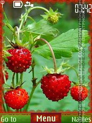 Capture d'écran Summer Berries thème