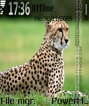 Cheetah 07 tema screenshot