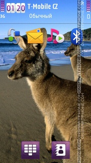 Kangaroos tema screenshot