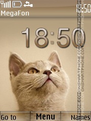 Cat Theme-Screenshot