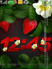 Berries tema screenshot