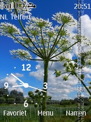 Wild Flowers Clock tema screenshot