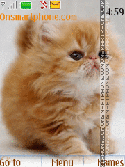 Animated Kitten es el tema de pantalla