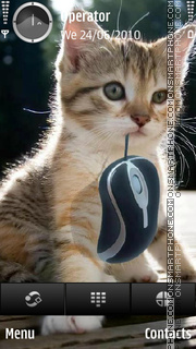 Скриншот темы Cat Mouse