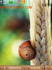 Capture d'écran Snail thème