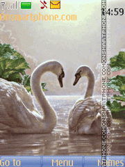 Скриншот темы Two Swans