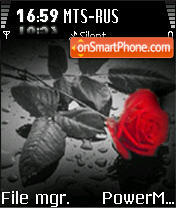 Rose 05 tema screenshot