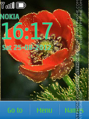 Red Flowers tema screenshot