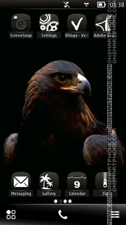 Capture d'écran Hawk thème