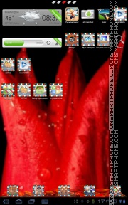 Red Tulips tema screenshot