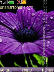 Capture d'écran Wet Flower thème