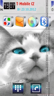 Kitten with blue eyes tema screenshot