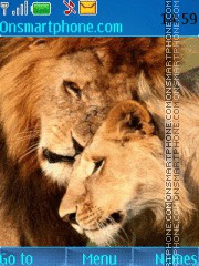 Capture d'écran Lions Love thème