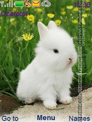 Rabbit theme screenshot