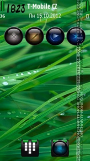 Grass HD theme screenshot