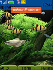 Aquarium 01 es el tema de pantalla