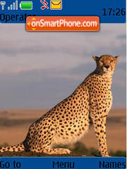 Скриншот темы Cheetah