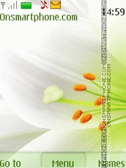 White Flower 07 es el tema de pantalla