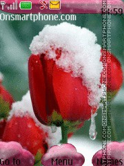 Capture d'écran Winter tulips thème