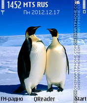 Скриншот темы Penguins