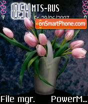 Tulips tema screenshot