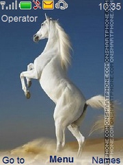Скриншот темы White Horse