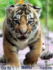 Tiger Cub Theme-Screenshot