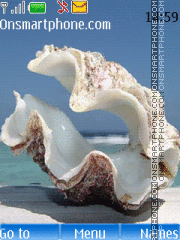 Seashell tema screenshot