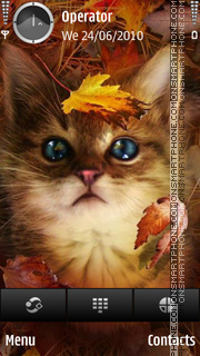 Kitten tema screenshot
