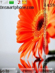 Cute Orange Flower tema screenshot