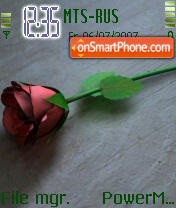 Lonely Rose theme screenshot