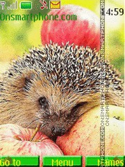 Hedgehog and Apples Theme-Screenshot