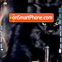 Black Cat 01 tema screenshot