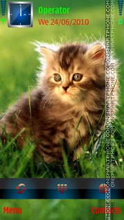 Cat on grass theme screenshot