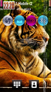 Скриншот темы Tiger HD v5