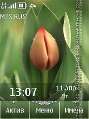 Tulip es el tema de pantalla