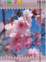 Capture d'écran Blooming Spring thème