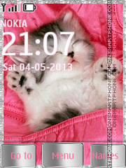 Sleeping cat theme screenshot