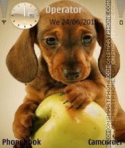 Puppy and Apple tema screenshot